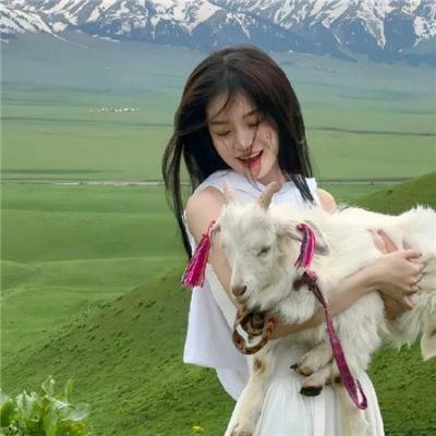 9号秘事第五季